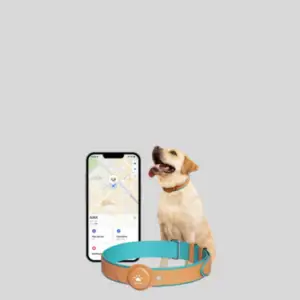 GPS Tracking Collars